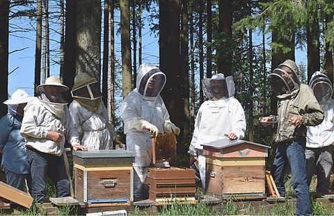 un bon plan de formation en apiculture est indispensable