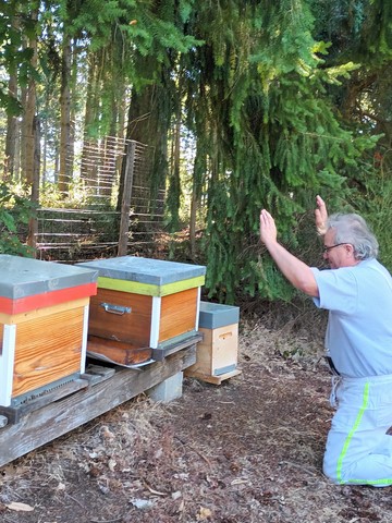 Apiculteur suppliant ses abeilles pour qu'elles lui rapportent !