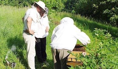 Formation pour couple de débutants en apiculture