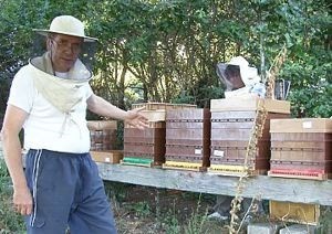 Bienvenue aux futurs apiculteurs débutants et de loisir