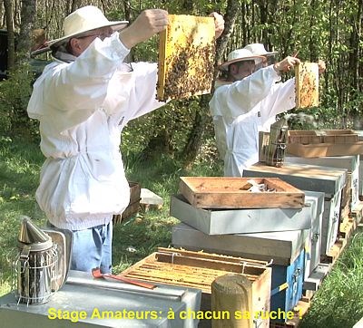 Apprendre l'apiculture ? Venez en stage de formation chez Abeille et Nature