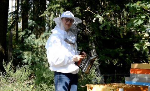 Formation en apiculture professionnelle par cours privés