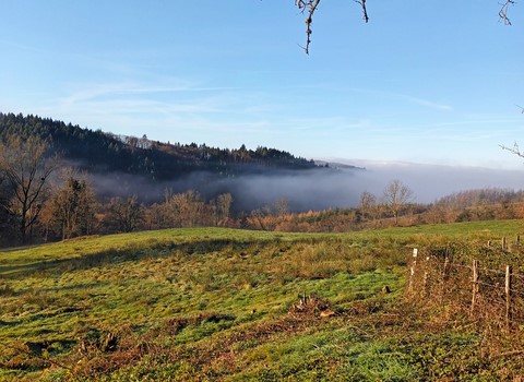 Préparation des ruches avant l'hiver