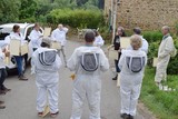 initiation à l'apiculture de loisir